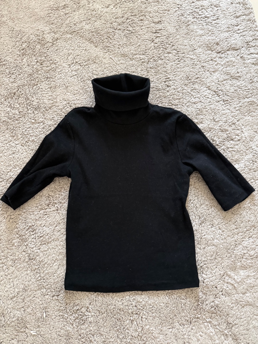 Zara turtle neck top S