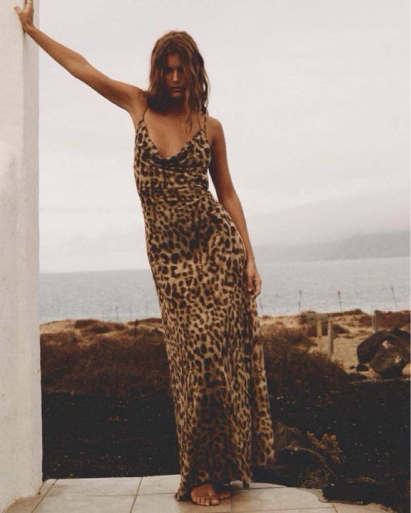 zara leopard print maxi dress photo 2