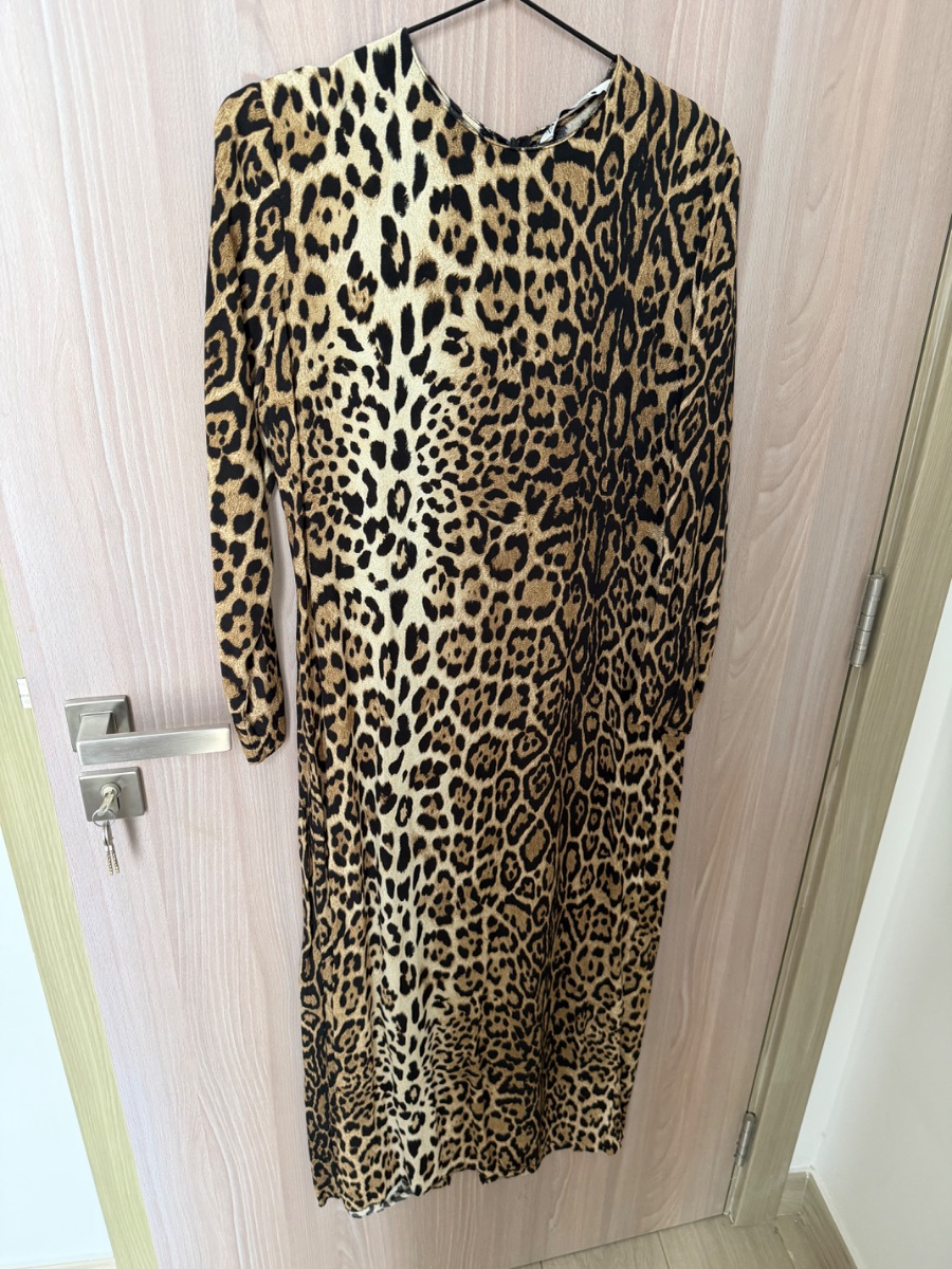 Zara Leopard Long Dress
