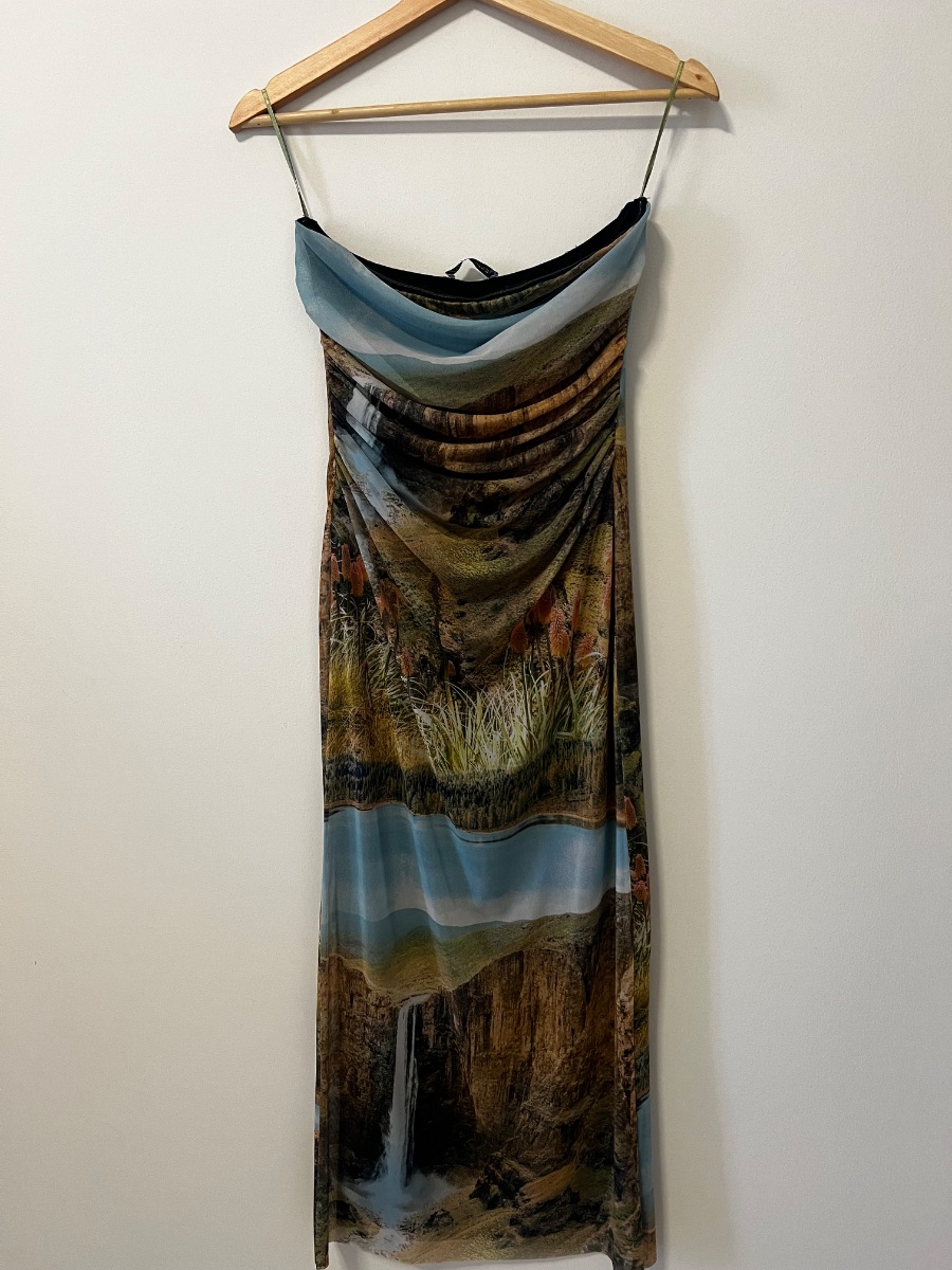 Zara Strapless dress