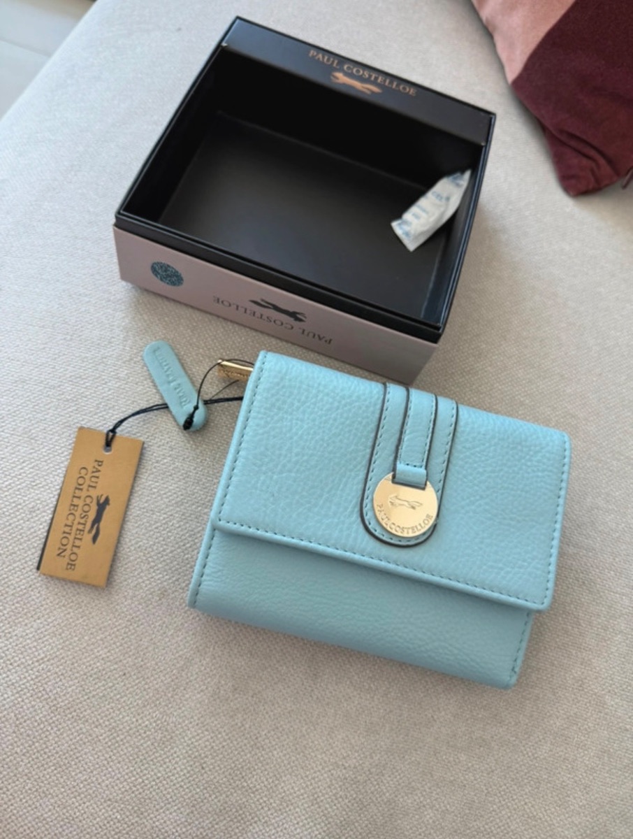 Baby Blue Paul Costelloe Leather Purse
