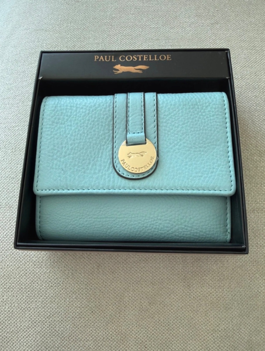 Baby Blue Paul Costelloe Leather Purse photo 2