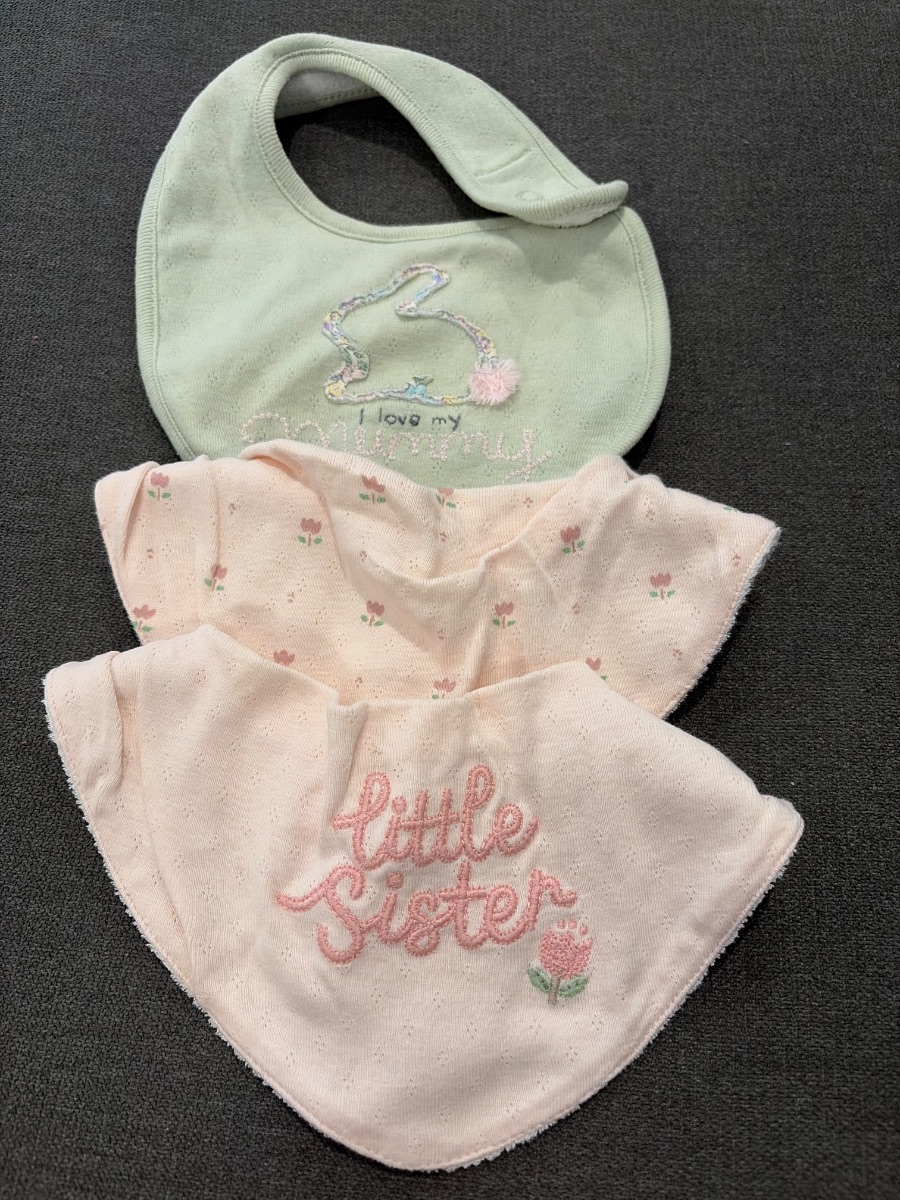 Next 3 Pack Girls Baby Bibs