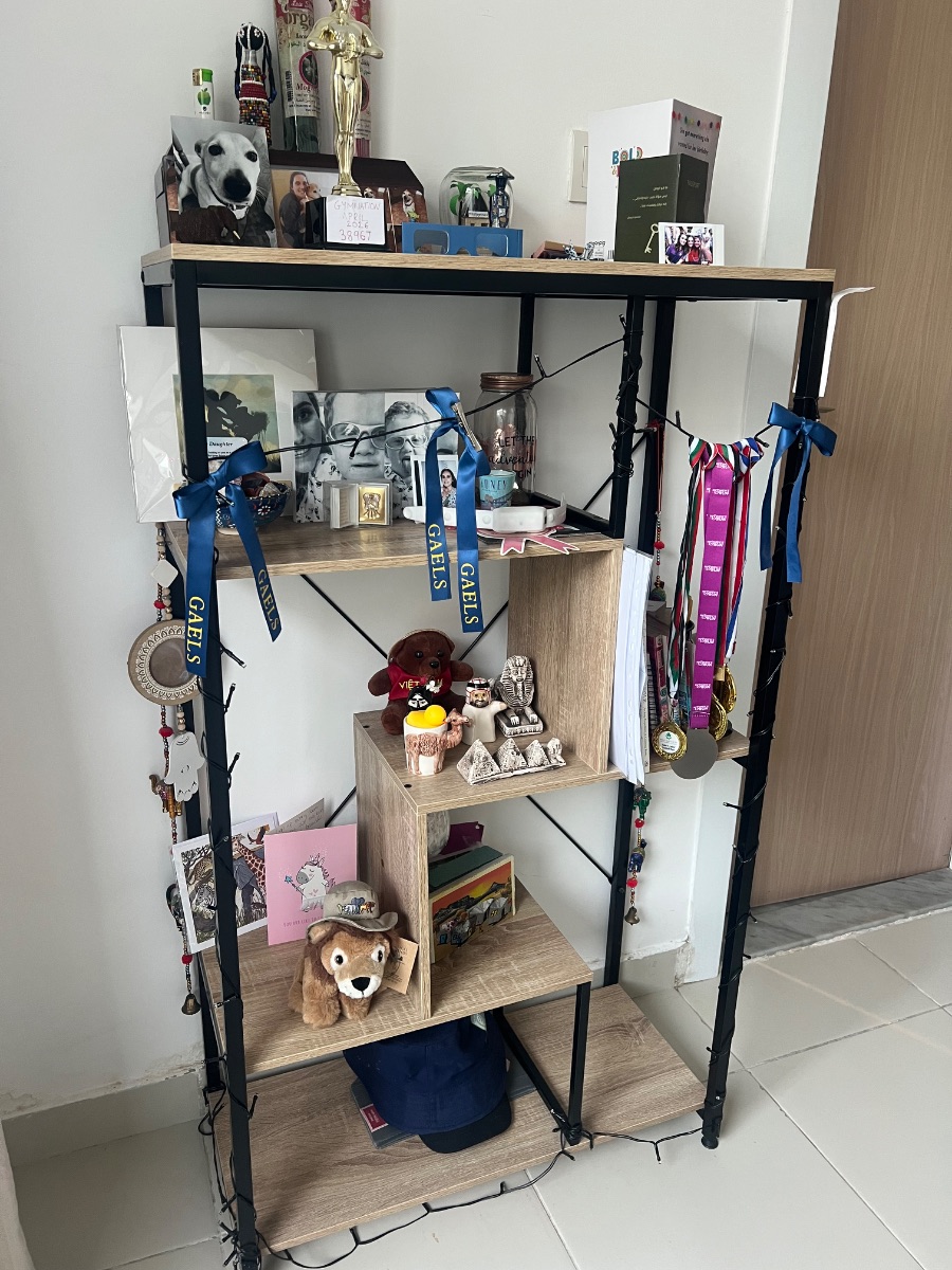 Pan Home Display Unit