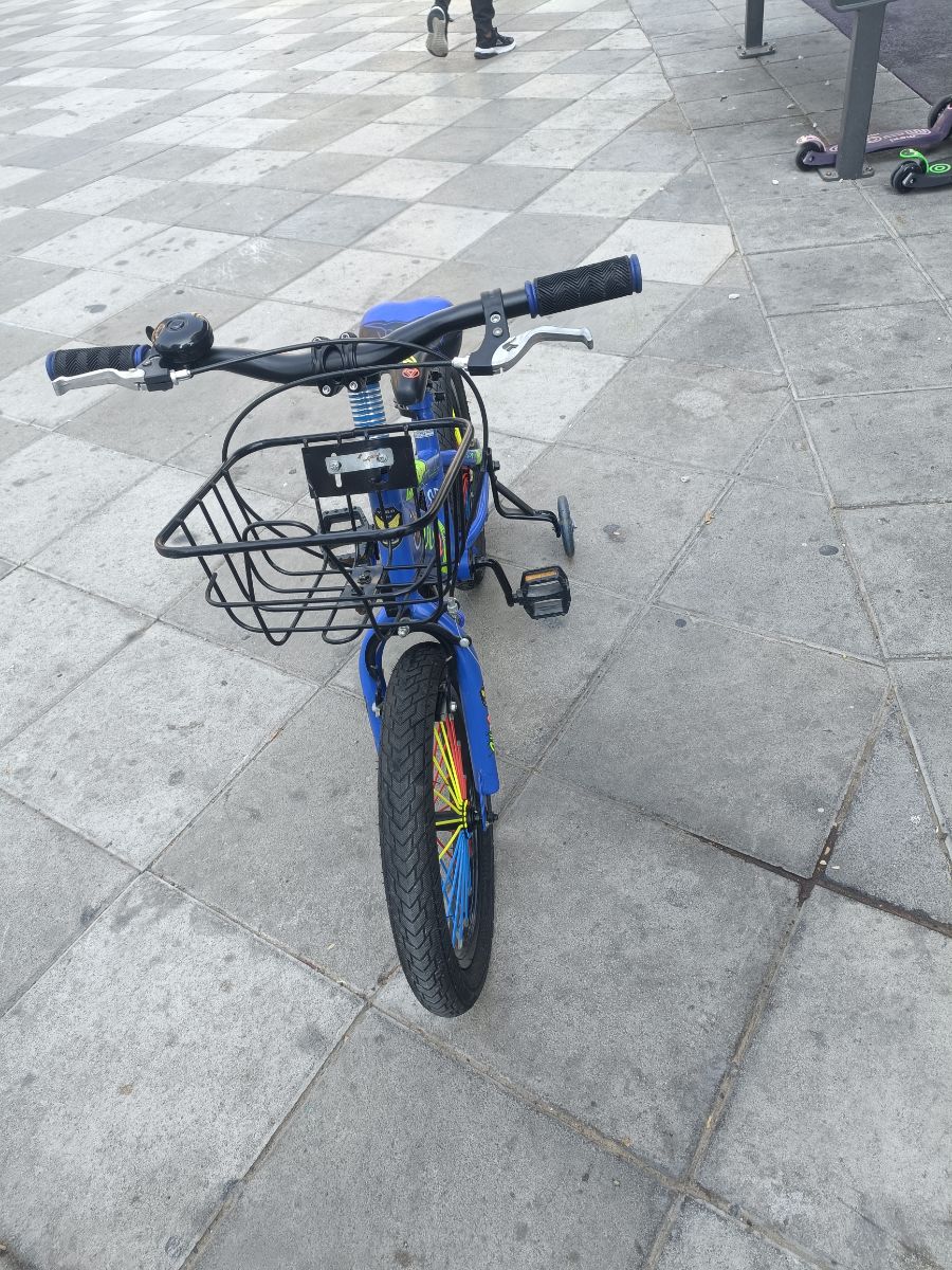 Vlta Bicycle photo 2