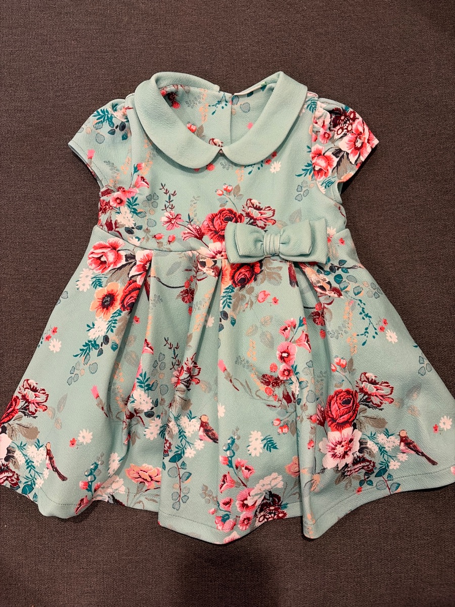 Next Peter Pan Collared Floral Teal Dress