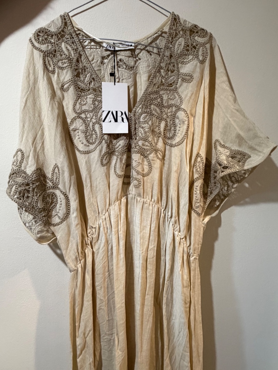 Zara Dress Maxi