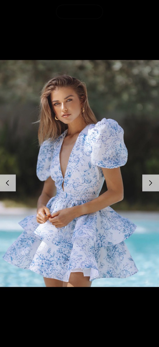 Chic Le Frique Dress