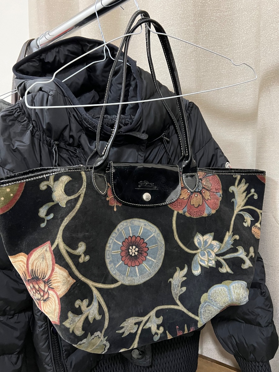 Longchamp limited suede bag