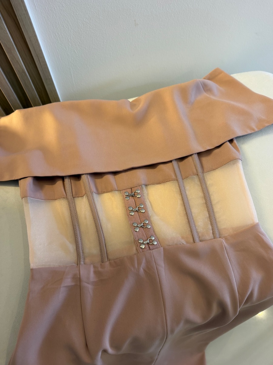 Lavish Alice Sheer Corset Bardot Dress photo 2