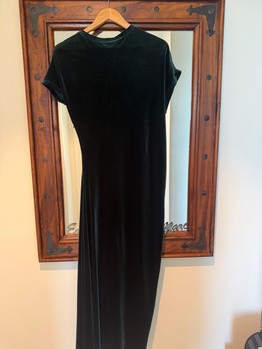 Zara Velvet dress