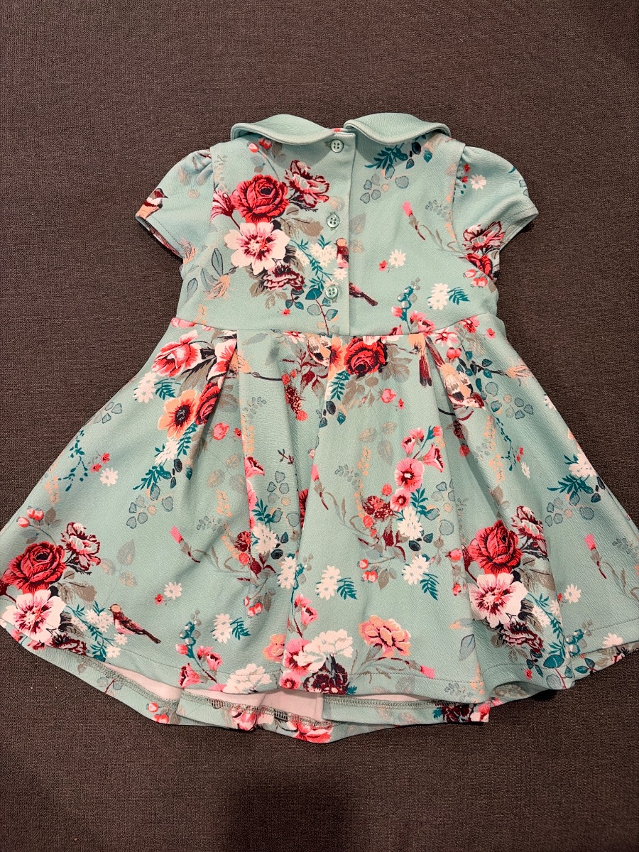 Next Peter Pan Collared Floral Teal Dress photo 2