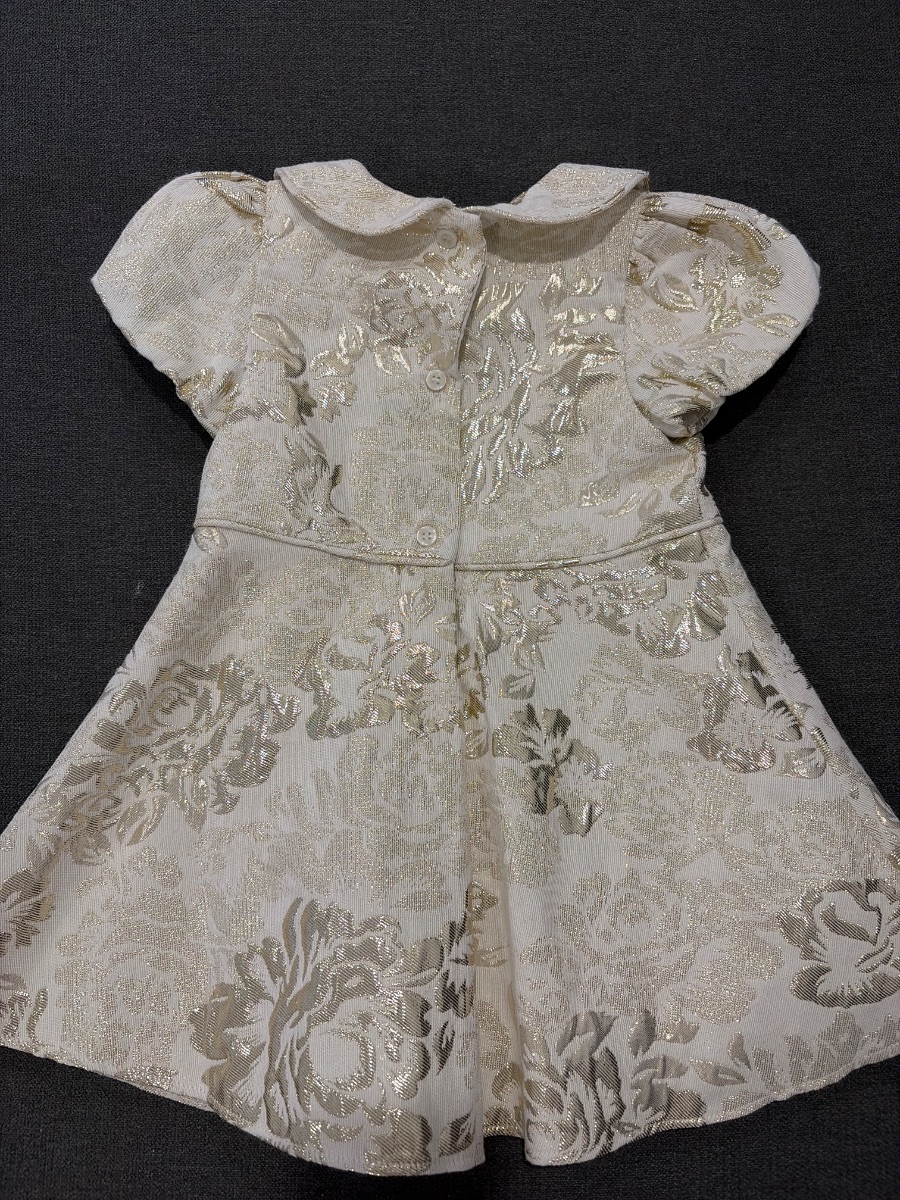Next Gold Appliqué Collared Occasion Dress photo 2
