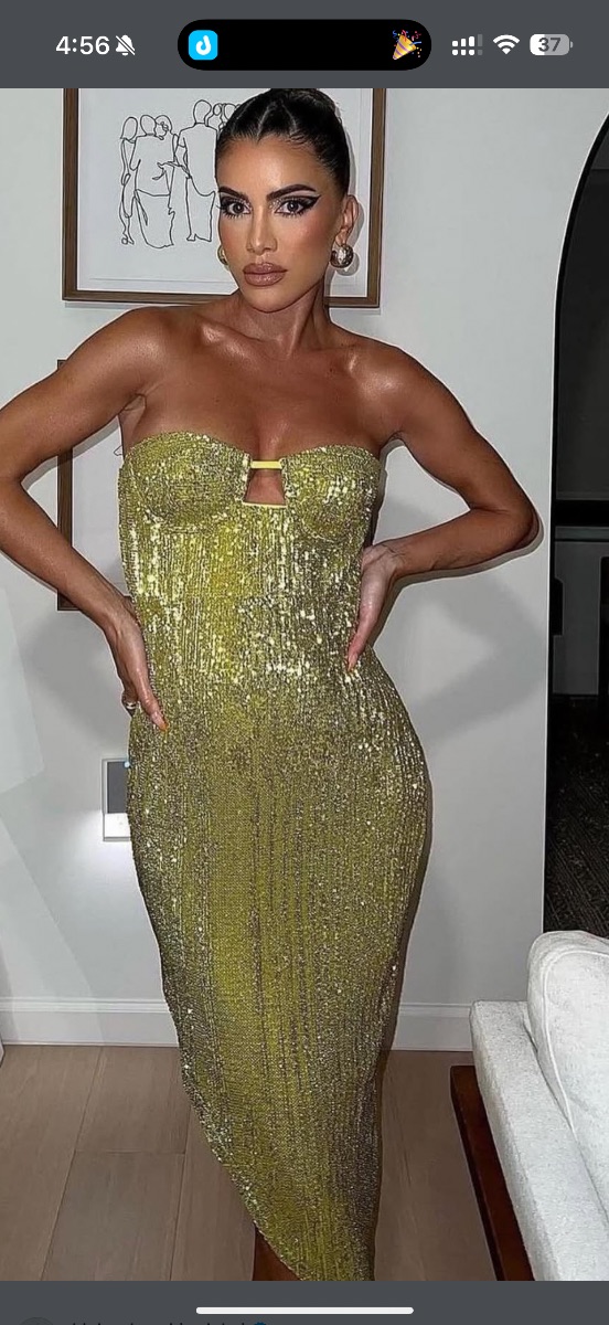 Camila Coehlo- Makenzie Dress photo 2