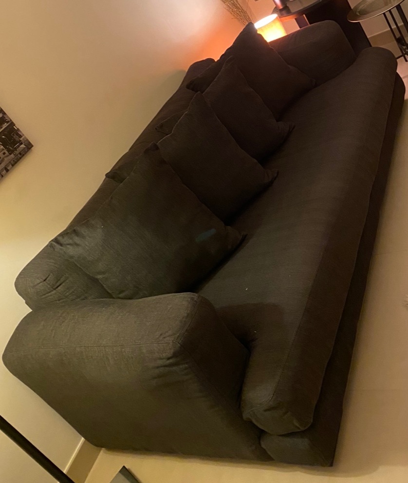 The One 2 pieces of Comfortable Modern Sofas filled with feathers photo 3