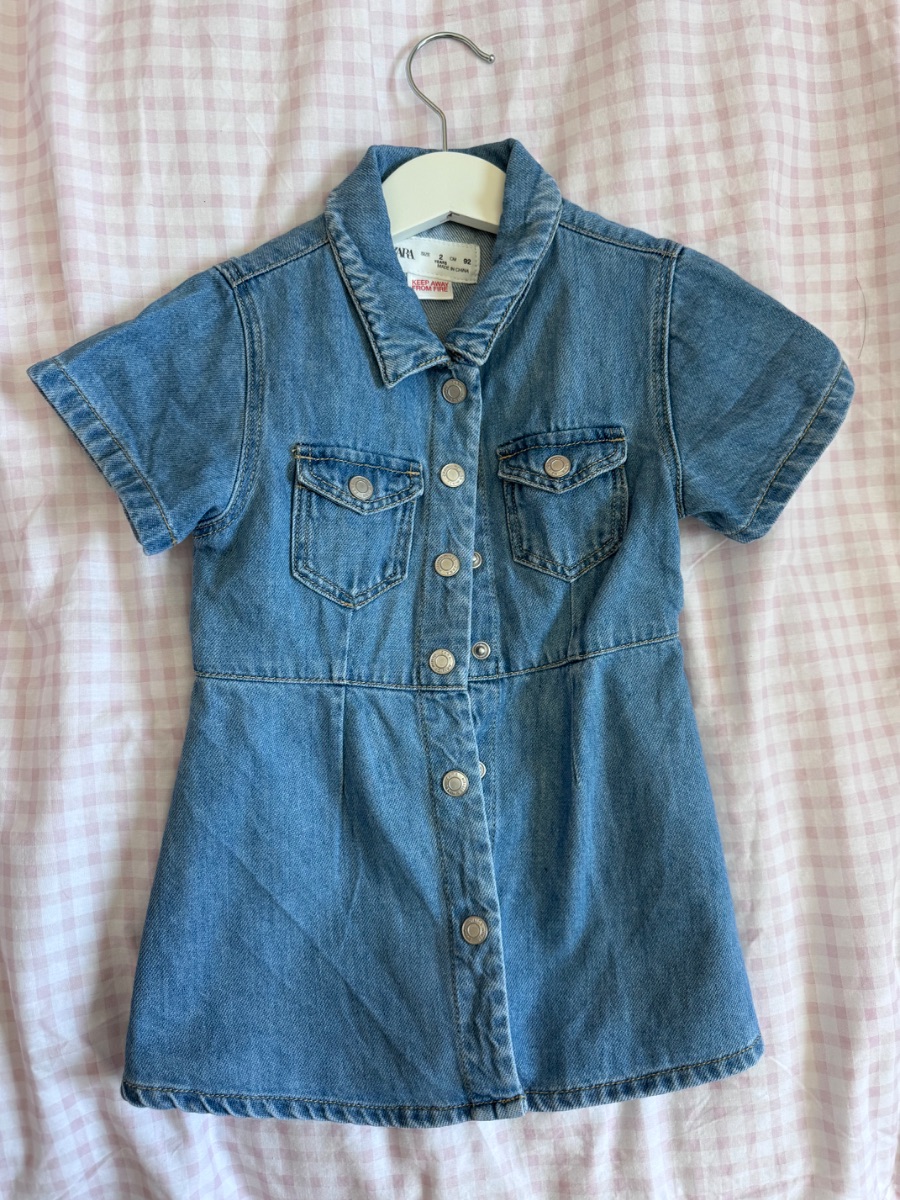 Zara denim button up dress
