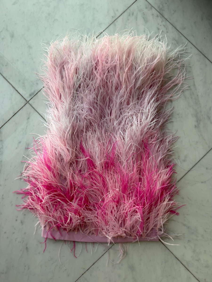 Leedy&me good girl rebel Ostrich feather corset dress