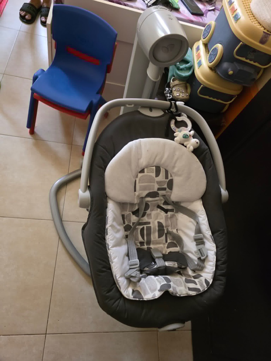 Joie Electric Swing