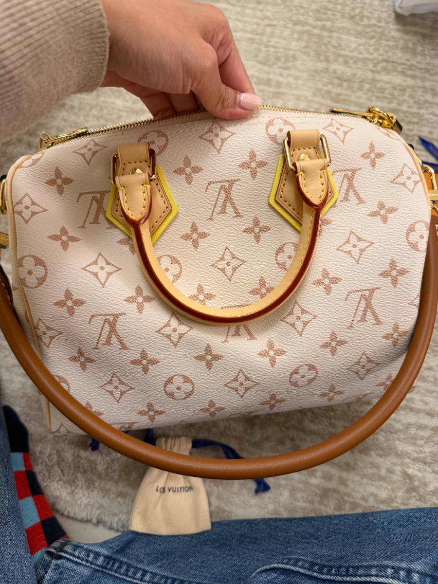 Louis Vuitton Brand New LV Soft Speedy 25 Complete Set photo 2
