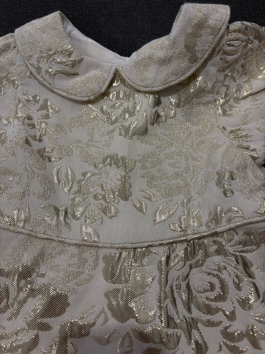 Next Gold Appliqué Collared Occasion Dress photo 3