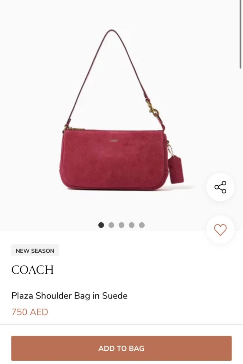 Coach purse