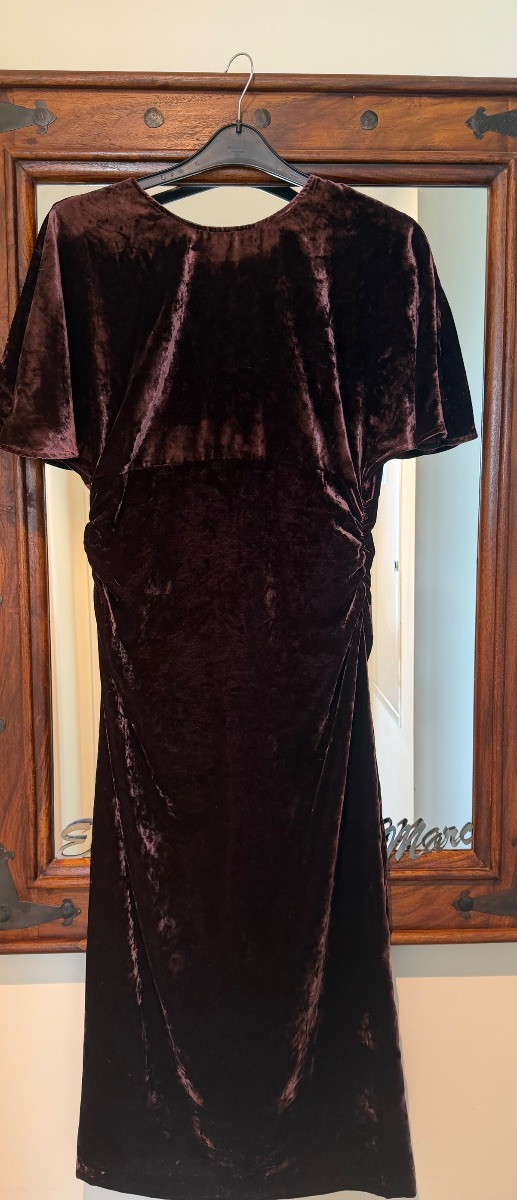 Zara Velvet dress