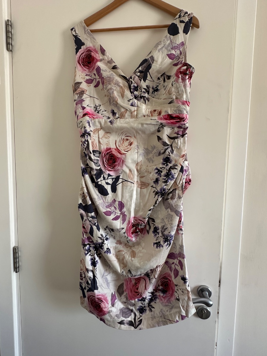 Phase Eight Nora Rose Print Occasional Dress