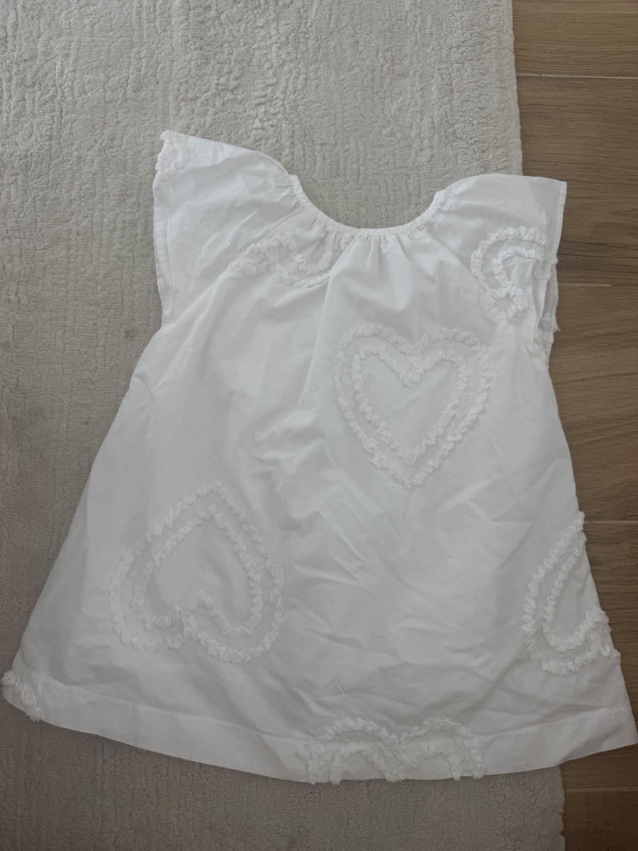 Zara Dress