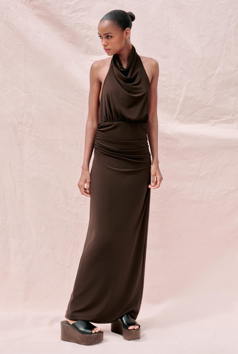 Brown Zara Backless Maxi Dress photo 2
