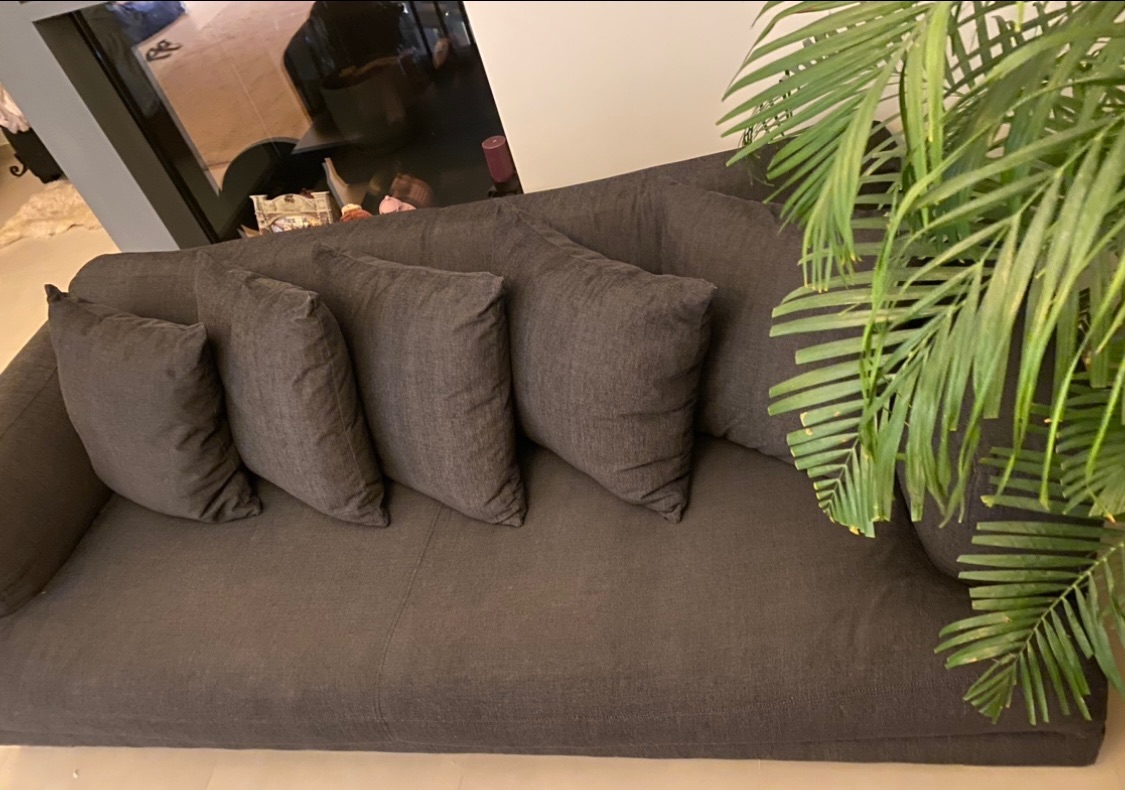 The One 2 pieces of Comfortable Modern Sofas filled with feathers photo 2