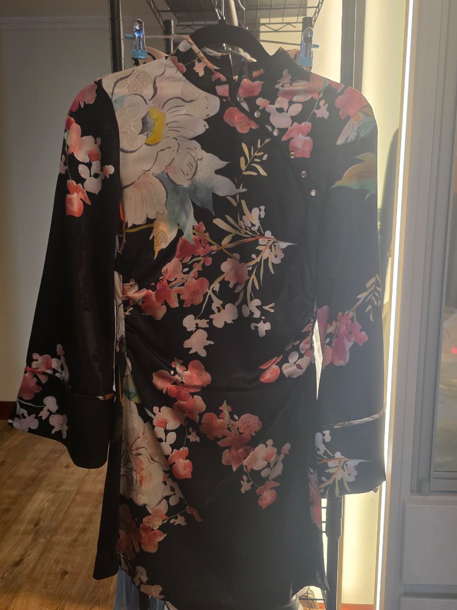 Zara -beautiful Chinese style dress ( preowned) photo 2