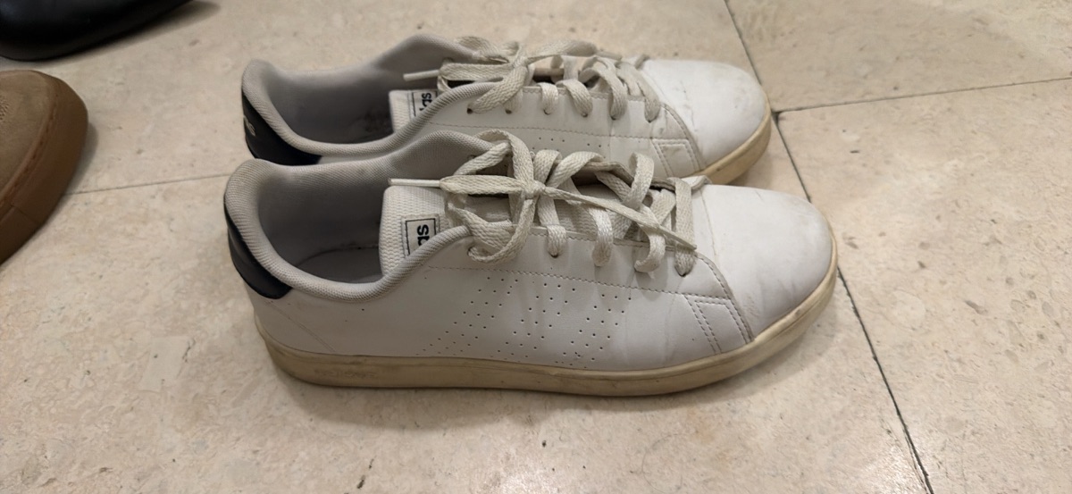 Adidas sneakers