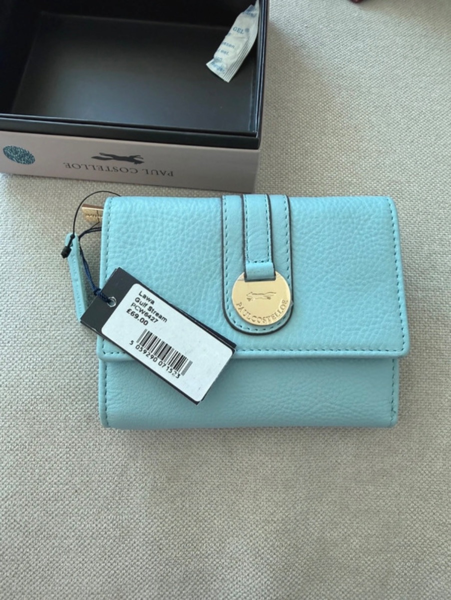Baby Blue Paul Costelloe Leather Purse photo 3