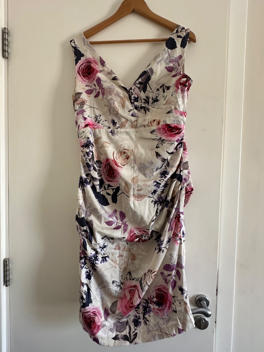 Phase Eight Nora Rose Print Occasional Dress photo 2