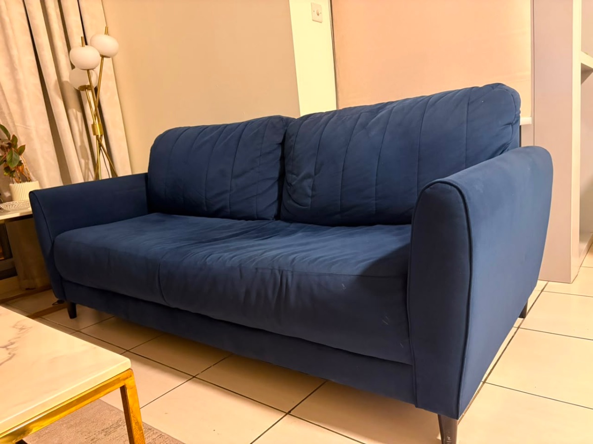 Home Centre Twin Sofa photo 2