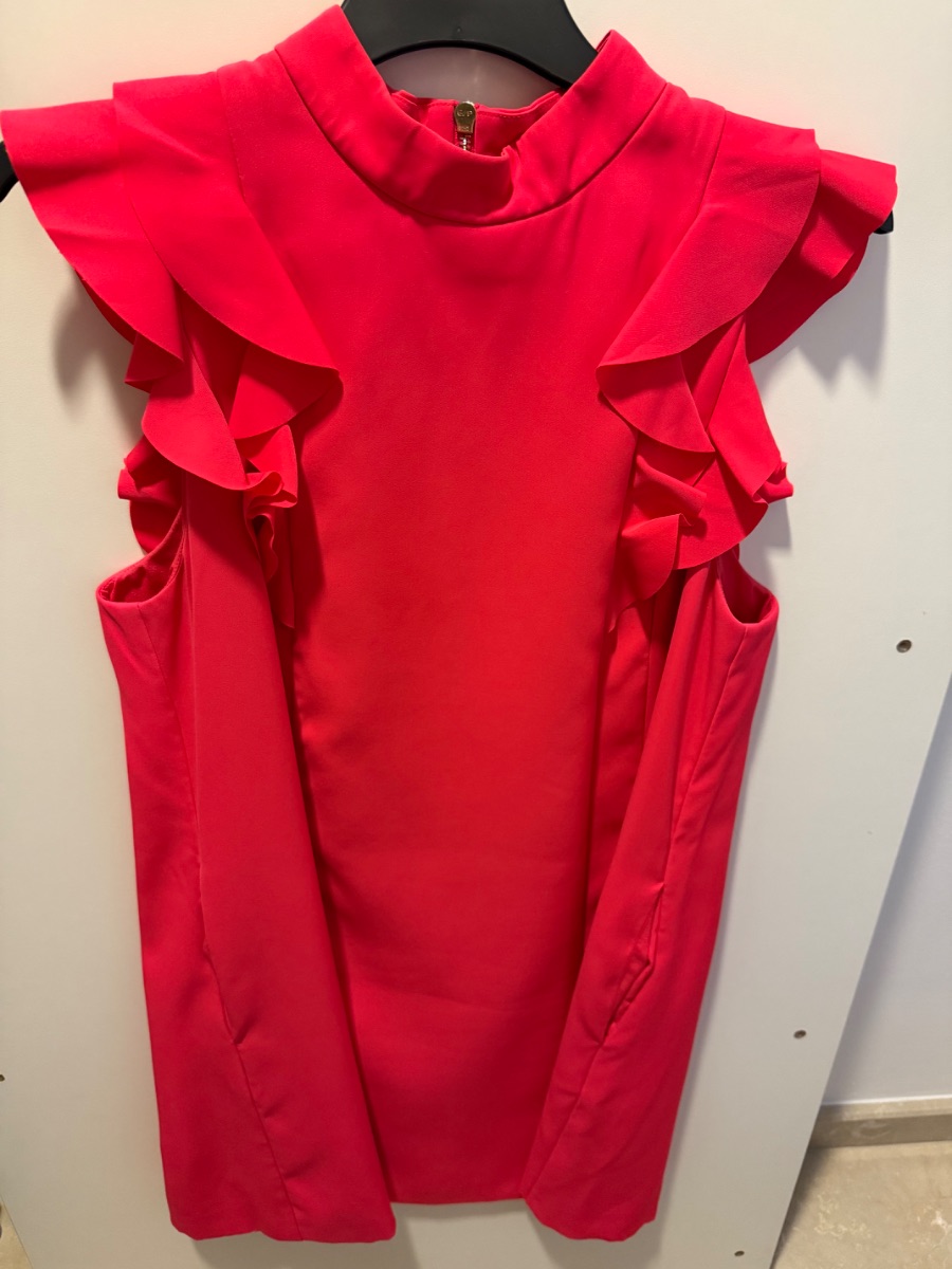 Ted baker dress