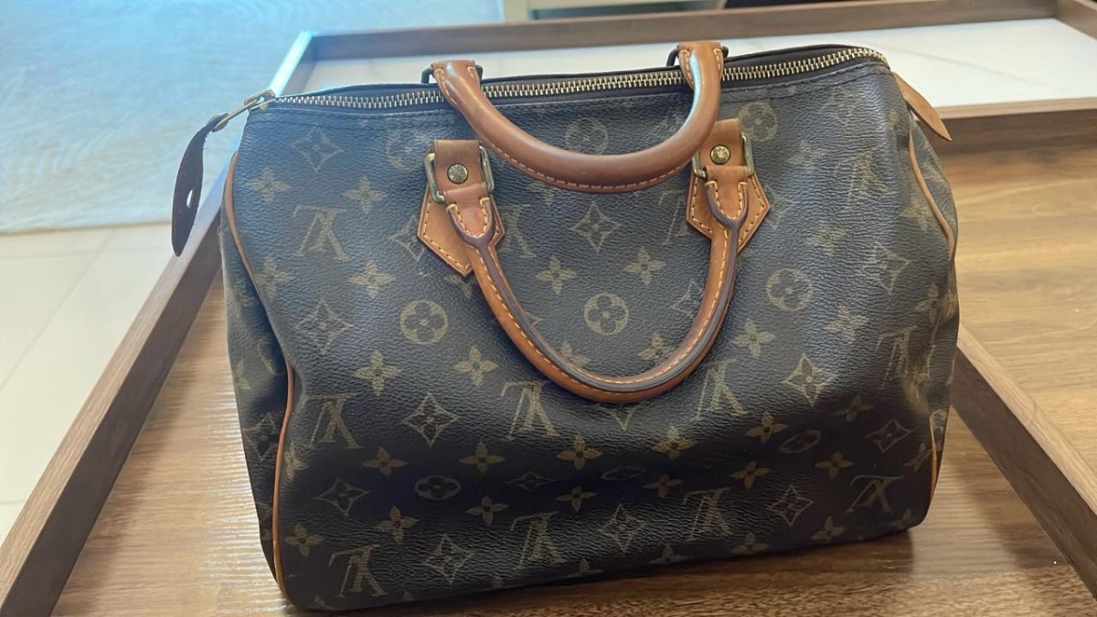 Louis Vuitton Lv speedy 30