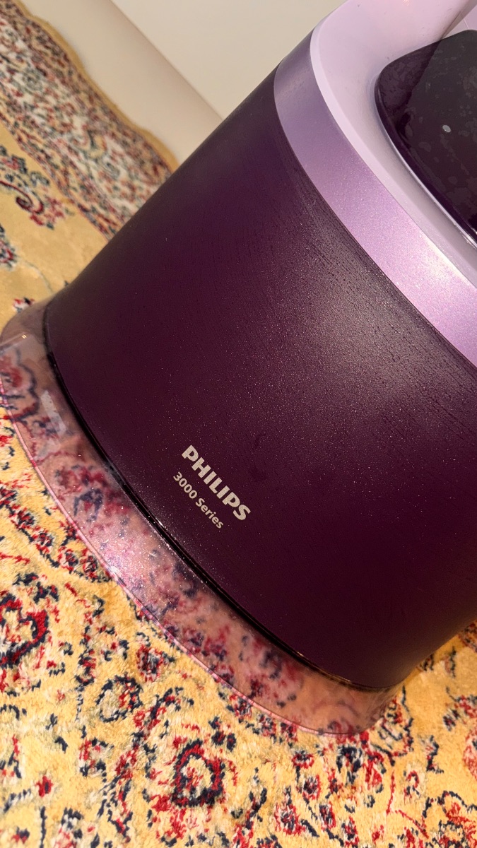 Philips Stand Steamer photo 3
