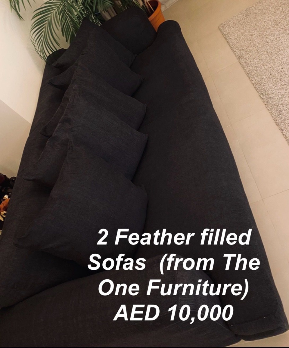 The One 2 pieces of Comfortable Modern Sofas filled with feathers