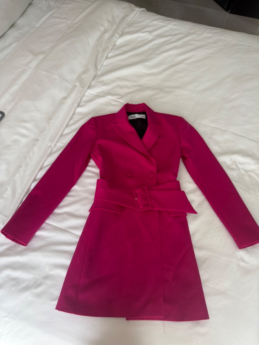 Pink ZARA Blazer Dress XS