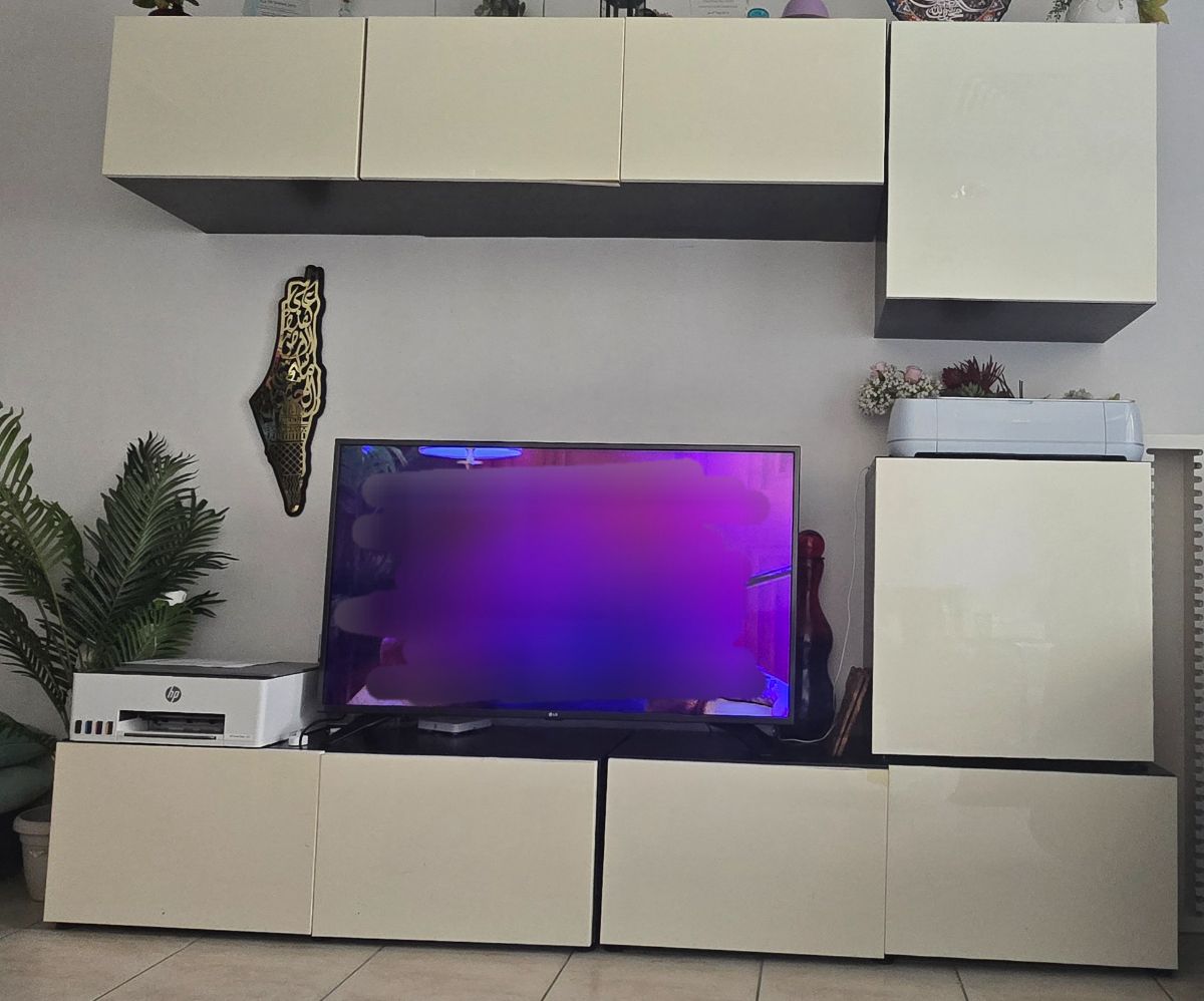 Ikea Besta Cabinets
