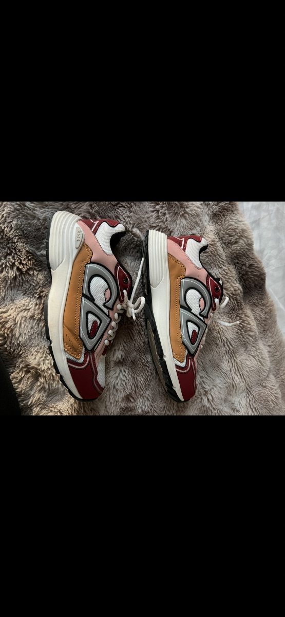 Dior Trainers