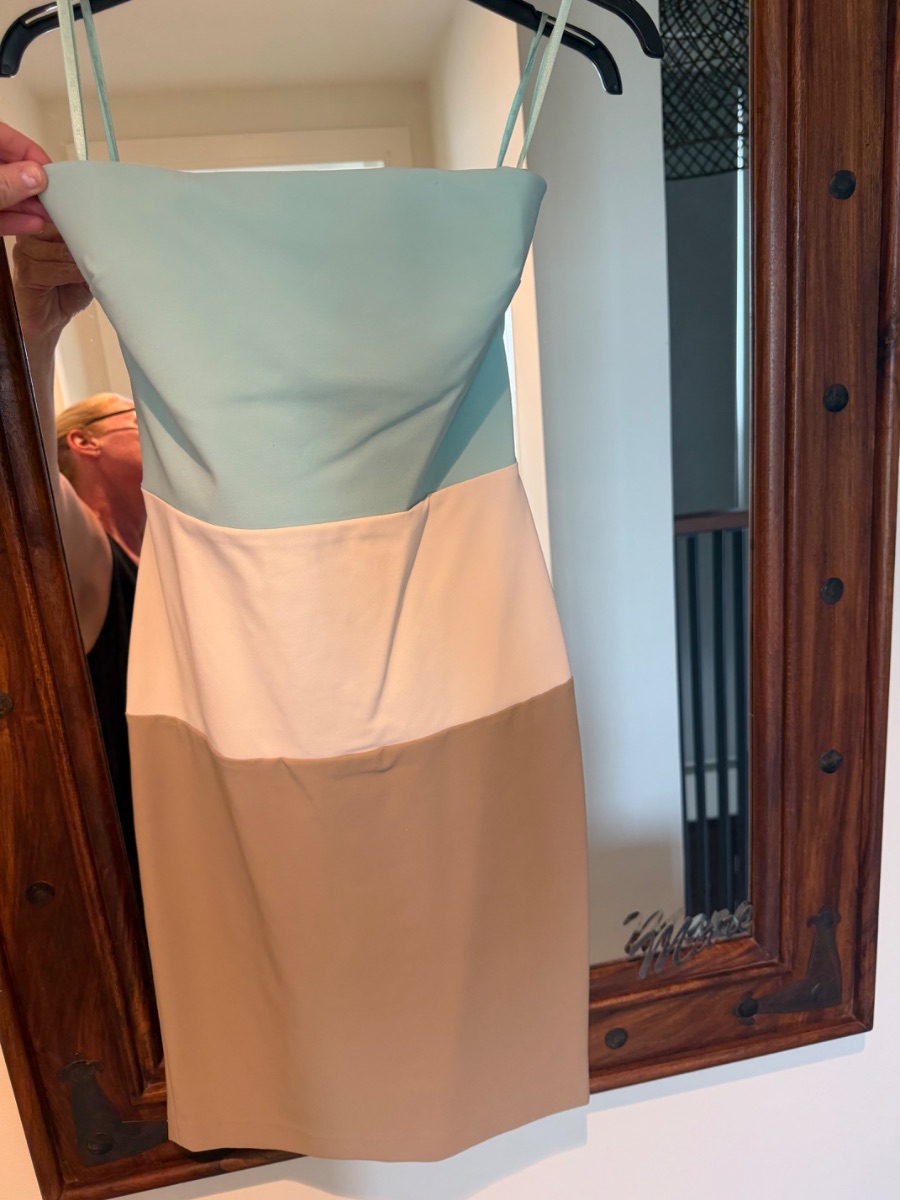 Elisabetta Franchi Body on dress