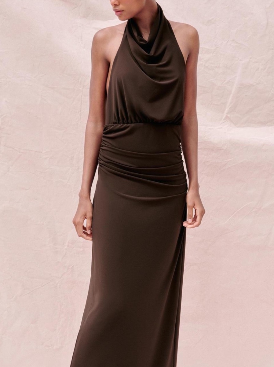 Brown Zara Backless Maxi Dress